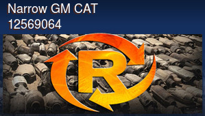 Narrow GM Catalytic Converter